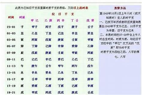 八字重量表2022|八字重量計算器